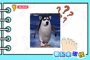 万博全站(ManBetX)app下载