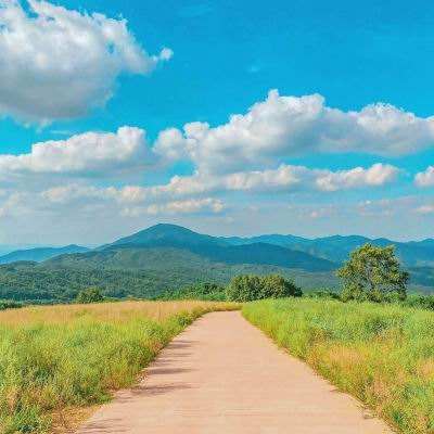 半岛彩票下载手机版