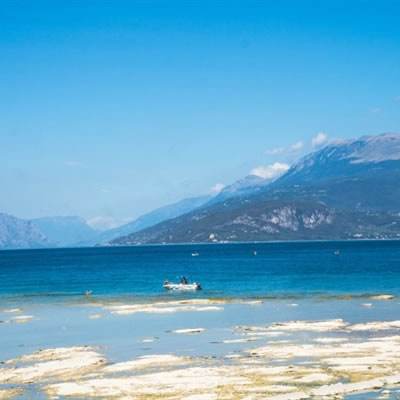 极速飞艇计划下载手机版