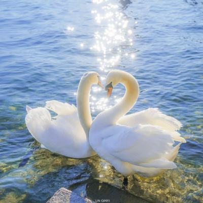 5848vip威尼斯电子游戏下载手机版