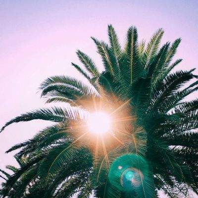 安博体育·(中国)官方网站下载手机版