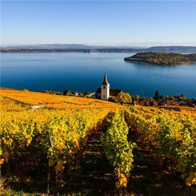 ag网游在线下载