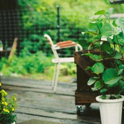 4949澳门免费资料大全app下载