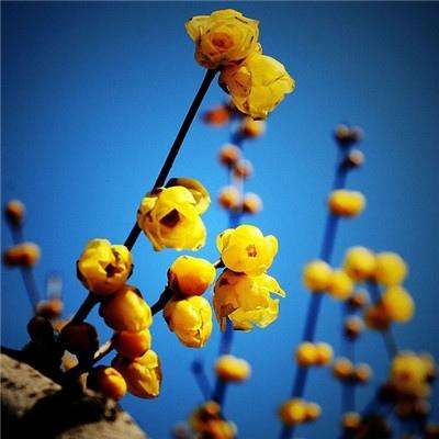 xk星空网官网登录入口