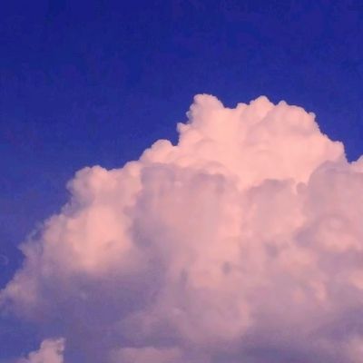 助赢软件app手机app下载