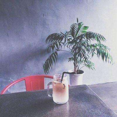 星空体育app下载手机版