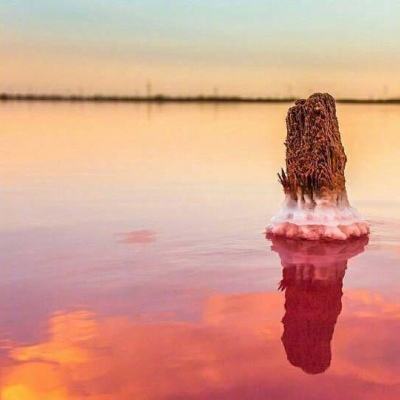 雷竞技RAYBET手机app下载