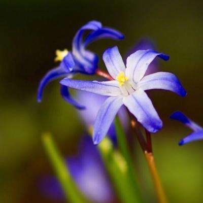 加拿大pc试玩平台