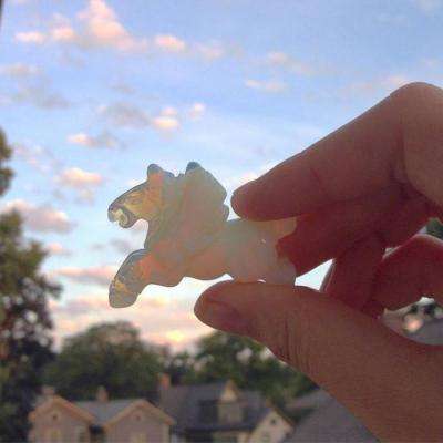 博鱼·体育中国入口下载手机版