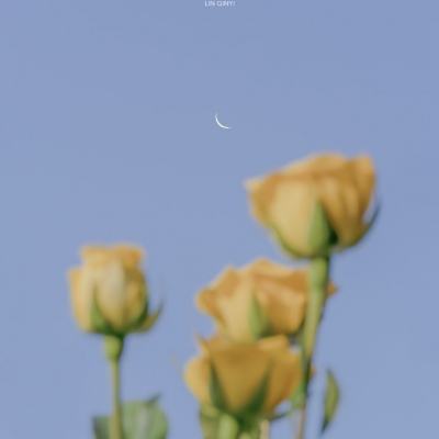 博鱼app手机app下载截图