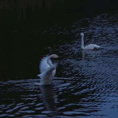 皇冠新体育APP官方入口