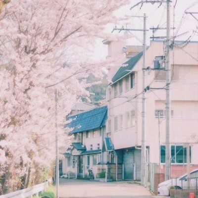 麻将胡了网站入口截图