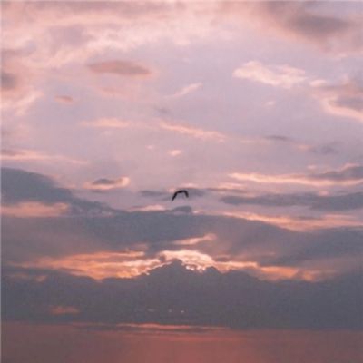 三亿体育app平台