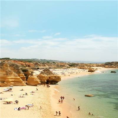 非凡体育APP下载下载手机版截图