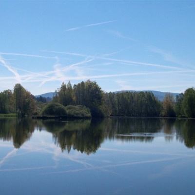 双赢彩票官方下载