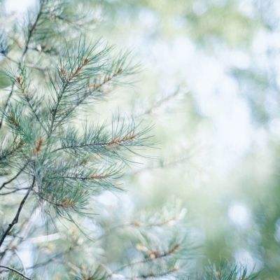 星空体育APP下载手机版