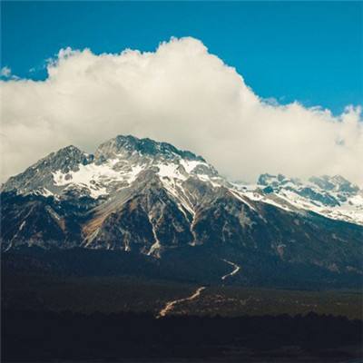 域网棋牌下载手机版