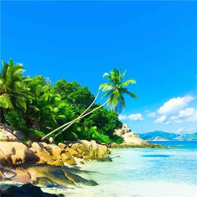 森林舞会游戏下截图