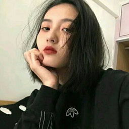 4949澳门免费资料大全手机app下载