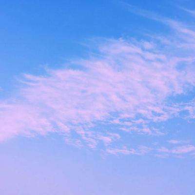 狗万官网下载手机版