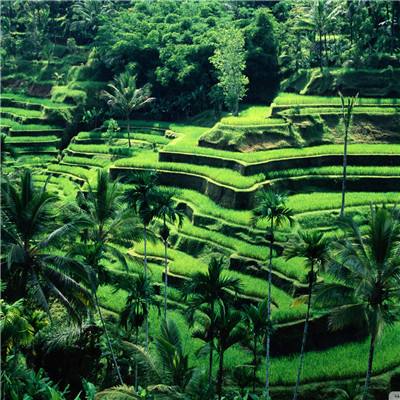 AG官方登陆入口