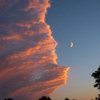 万博体育官方app