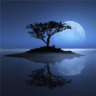 可以上下分捕鱼app