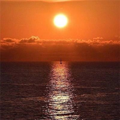 半岛·体育综合APP下载