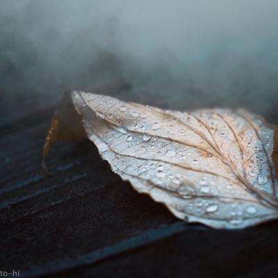 开元ky7818老版本下载手机版