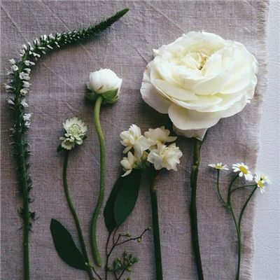 欧意app下载安装-登录入口