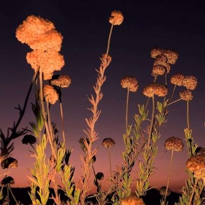 真人斗牛牛最新版app下载