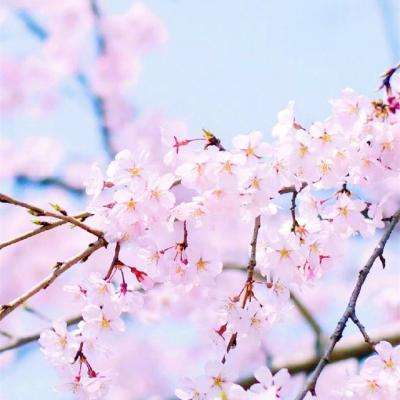 爱游戏全站app手机版