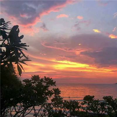 乐彩彩票welcome手机app下载