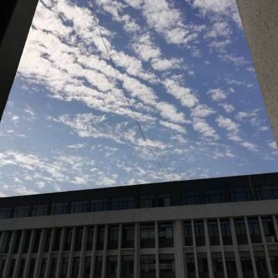 乐发彩票APP下载