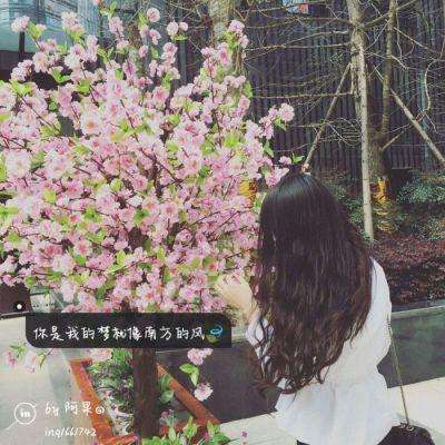 免费pg电子游戏