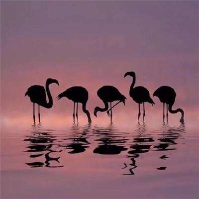 风云体育官方网站下载