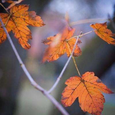 星空综合体育下载