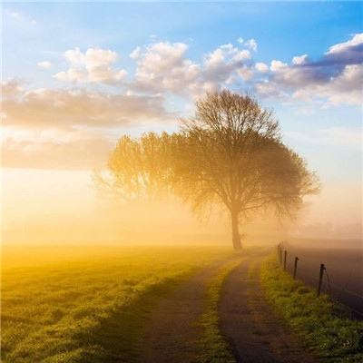 新乐动体育app下载官网