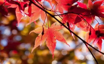 9月-10月工作总结模板7篇