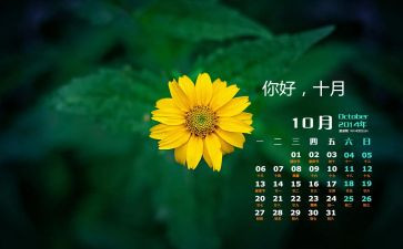 9月-10月工作总结7篇