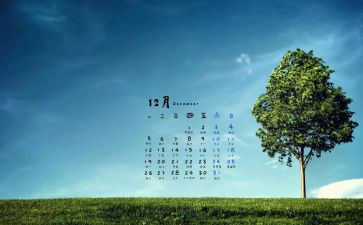 12月份大班心得7篇