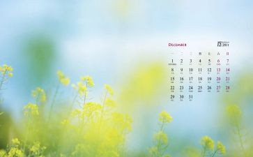 11到12月工作总结6篇