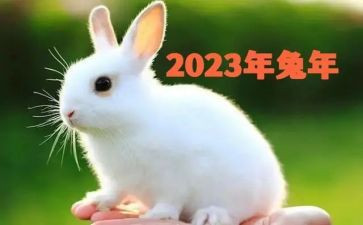 2023健康家庭事迹材料5篇