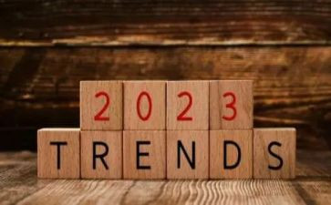 2023年精装修工作总结7篇