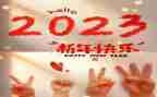 2023年村专干述职报告通用7篇