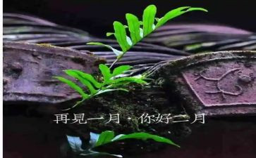 财务2月工作总结8篇