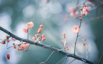 实习2月总结7篇