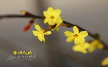 2月份大班工作总结6篇