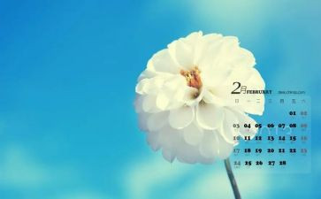 2月的工作总结参考7篇