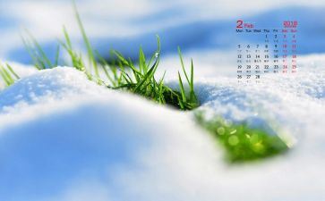 销售人员2月工作总结5篇